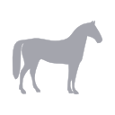 Reitplatz�berdachung